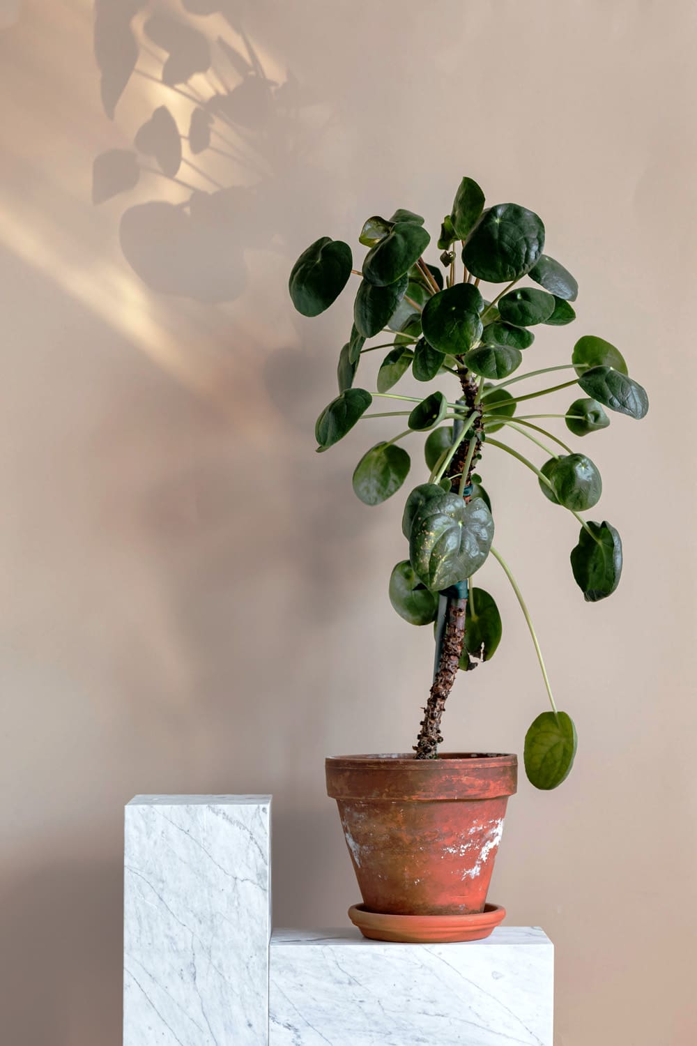 LIGHTURE_MINIMALISM003